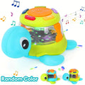 Kids Musical Turtle & Crab Drum Toy – Early Learning Gift