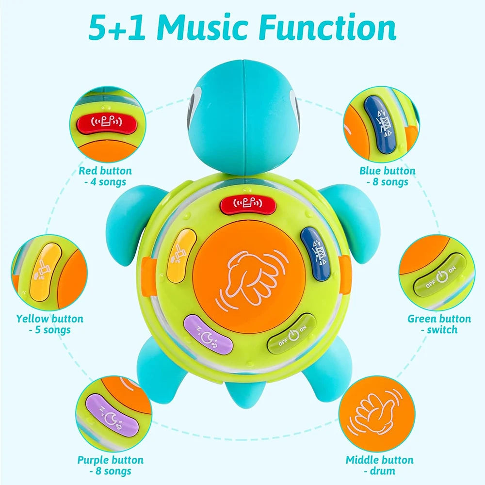 Kids Musical Turtle & Crab Drum Toy – Early Learning Gift